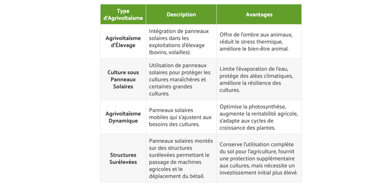 Agrivoltaísmo