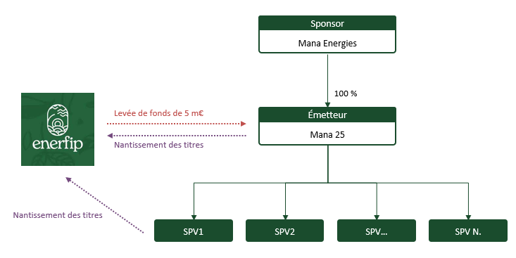 Estructura de Mana Energies