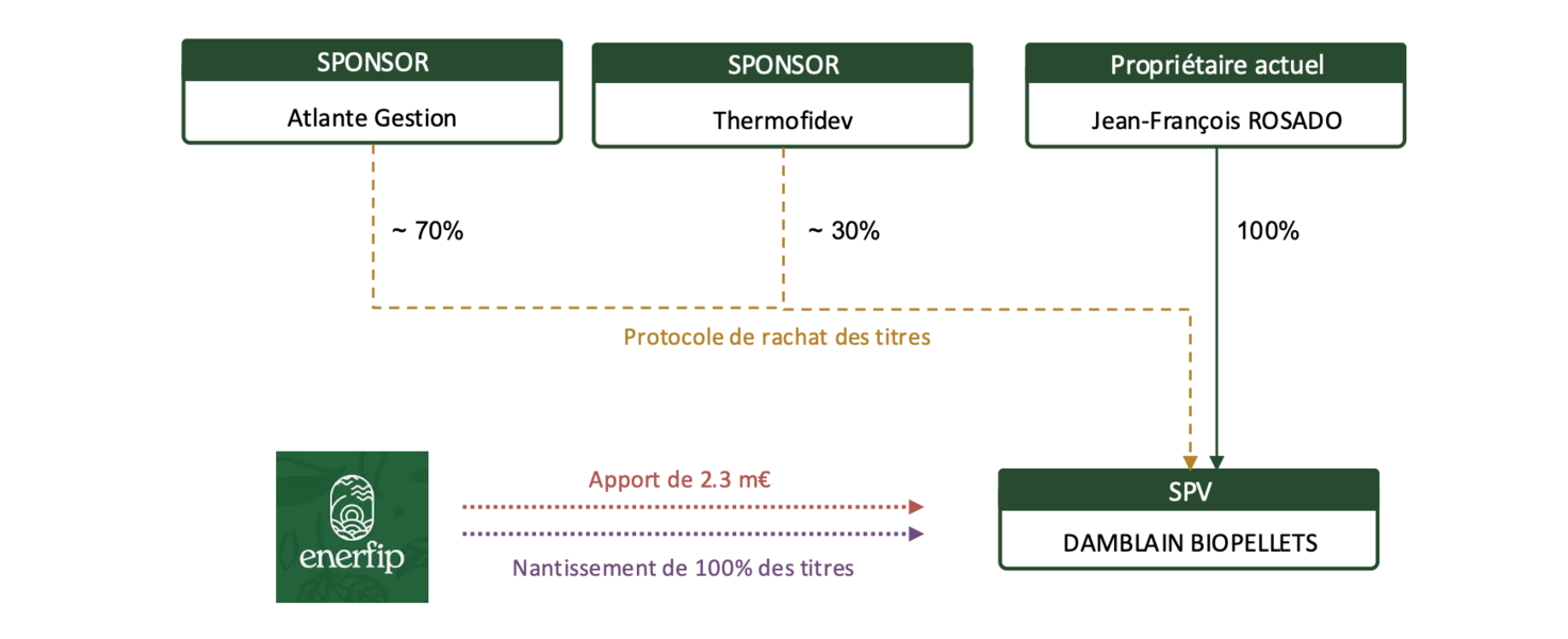 organigramme des sociétés et intervention énerfip